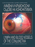 Лимфни и кръвоносни съдове на конюнктивата, Lymph and blood vessels of the conjunctiva