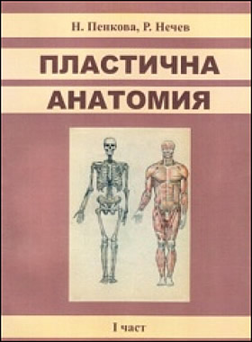 Пластична анатомия - I част