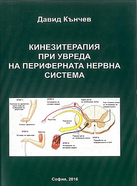 Кинезитерапия при увреда на периферната нервна система