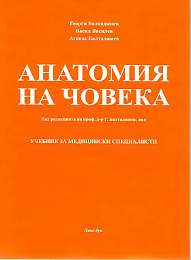 Анатомия на човека - 2020